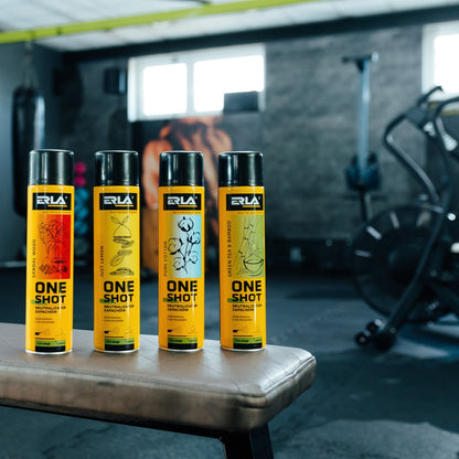 Kvapų neutralizatorius - ERLA ONE SHOT SANDALWOOD 600ml