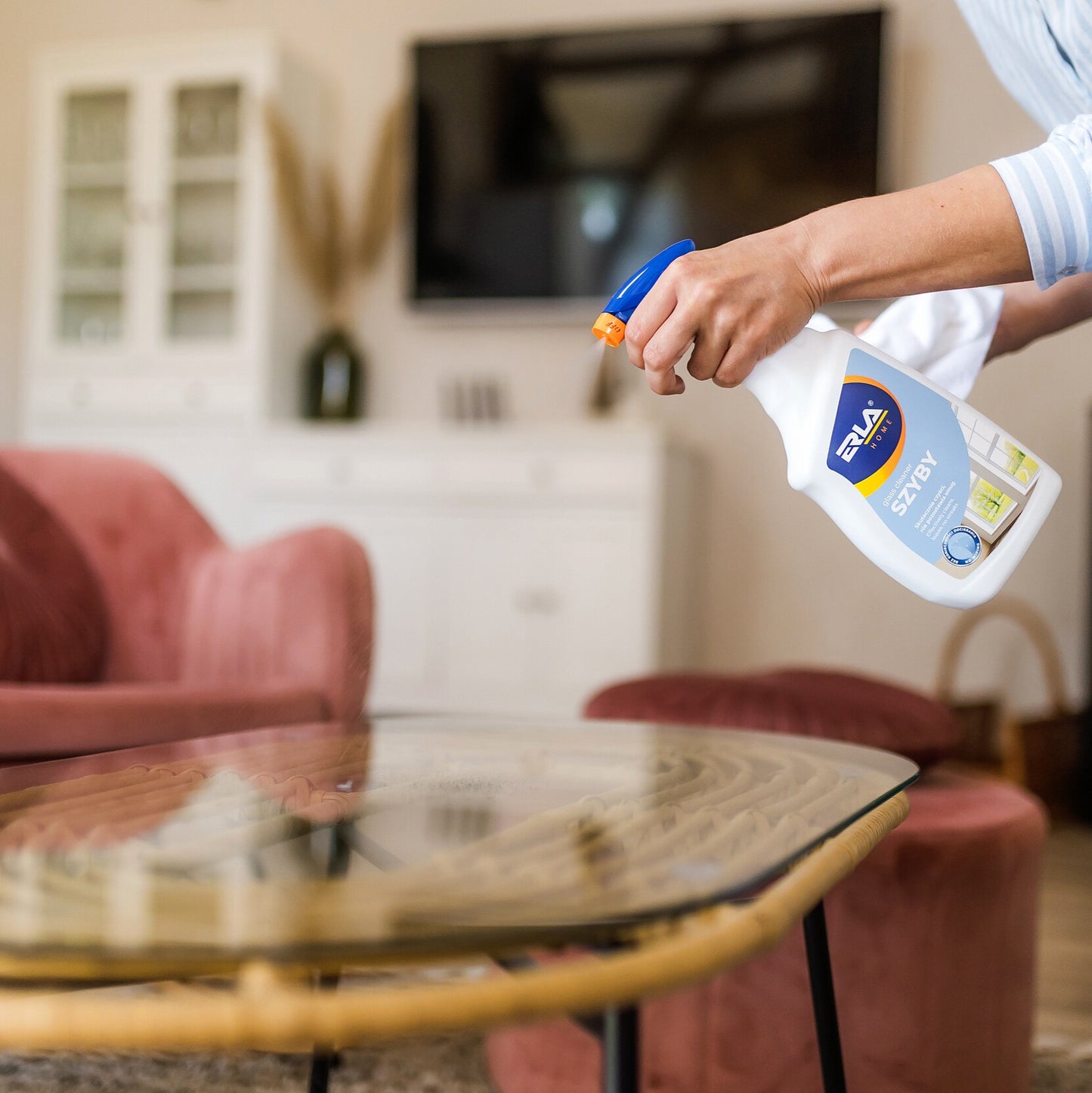 Valiklis stiklui ir veidrodžiams - ERLA SZYBY 750ml