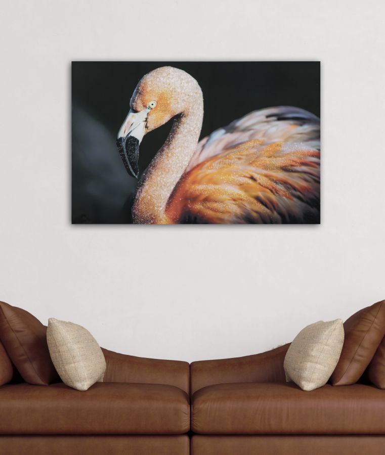 Paveikslas drobė spausdinta Flamingo 120x3.8x80 cm