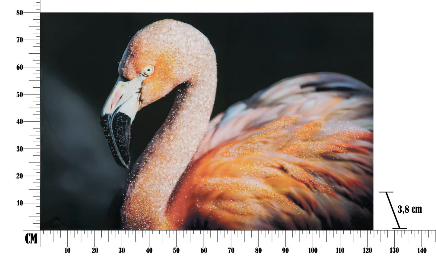 Paveikslas drobė spausdinta Flamingo 120x3.8x80 cm