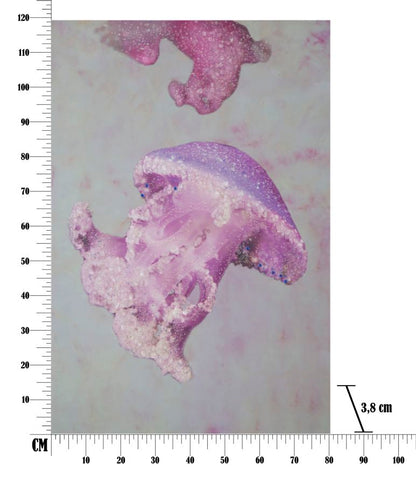 Paveikslas drobė spausdinta Medusa 80x3.8x120 cm