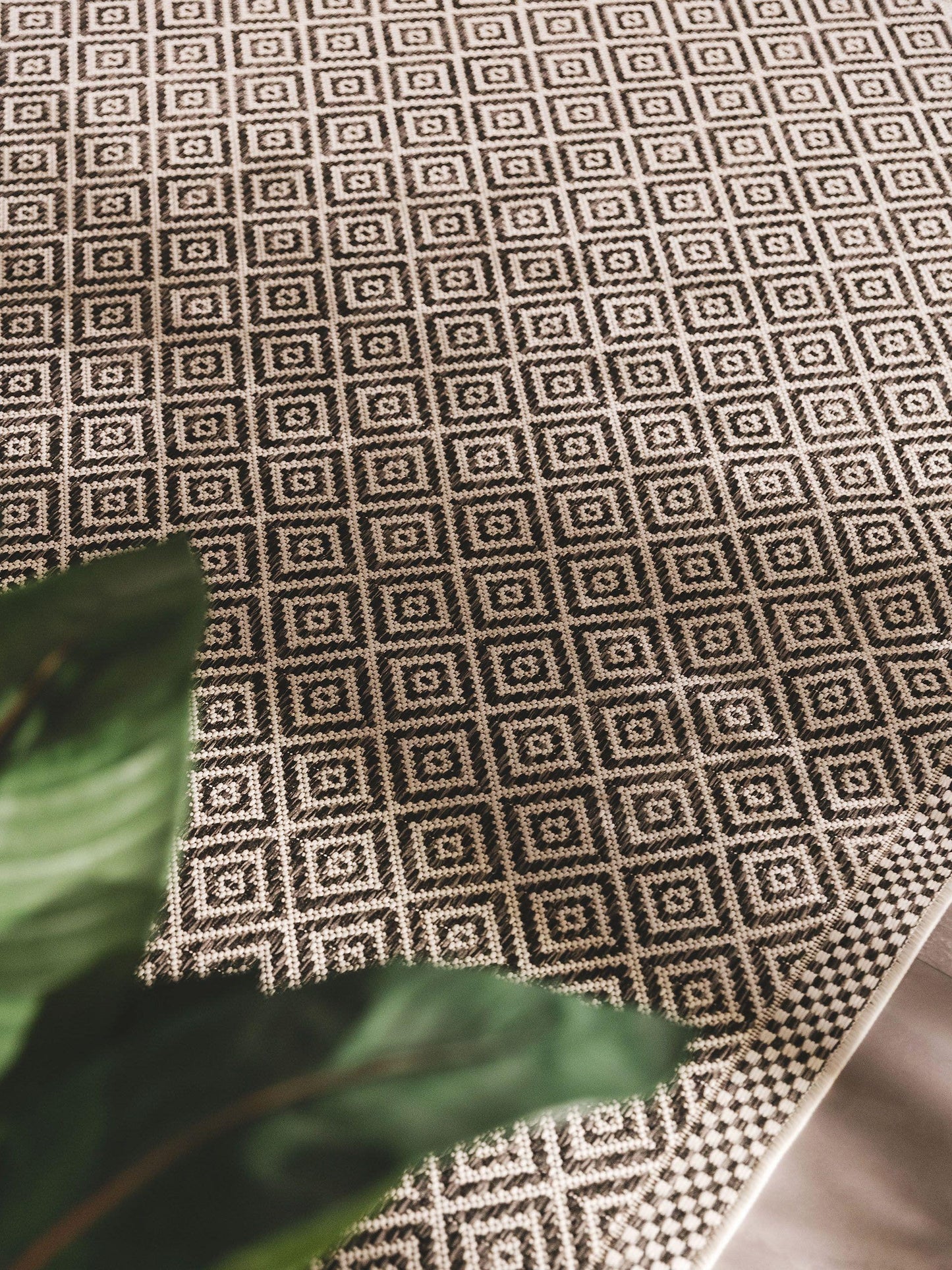 Cleo Stačiakampis Kilimas DS40