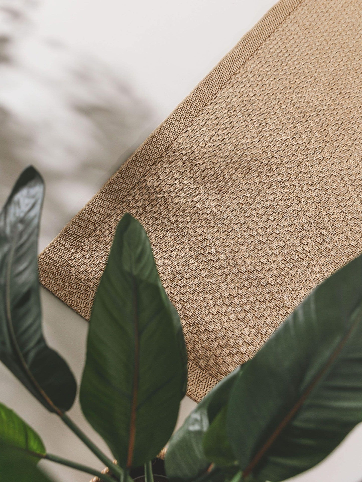 Naoto Koridoriaus Kilimas DS1