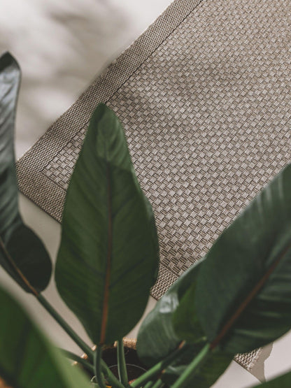 Naoto Koridoriaus Kilimas DS4