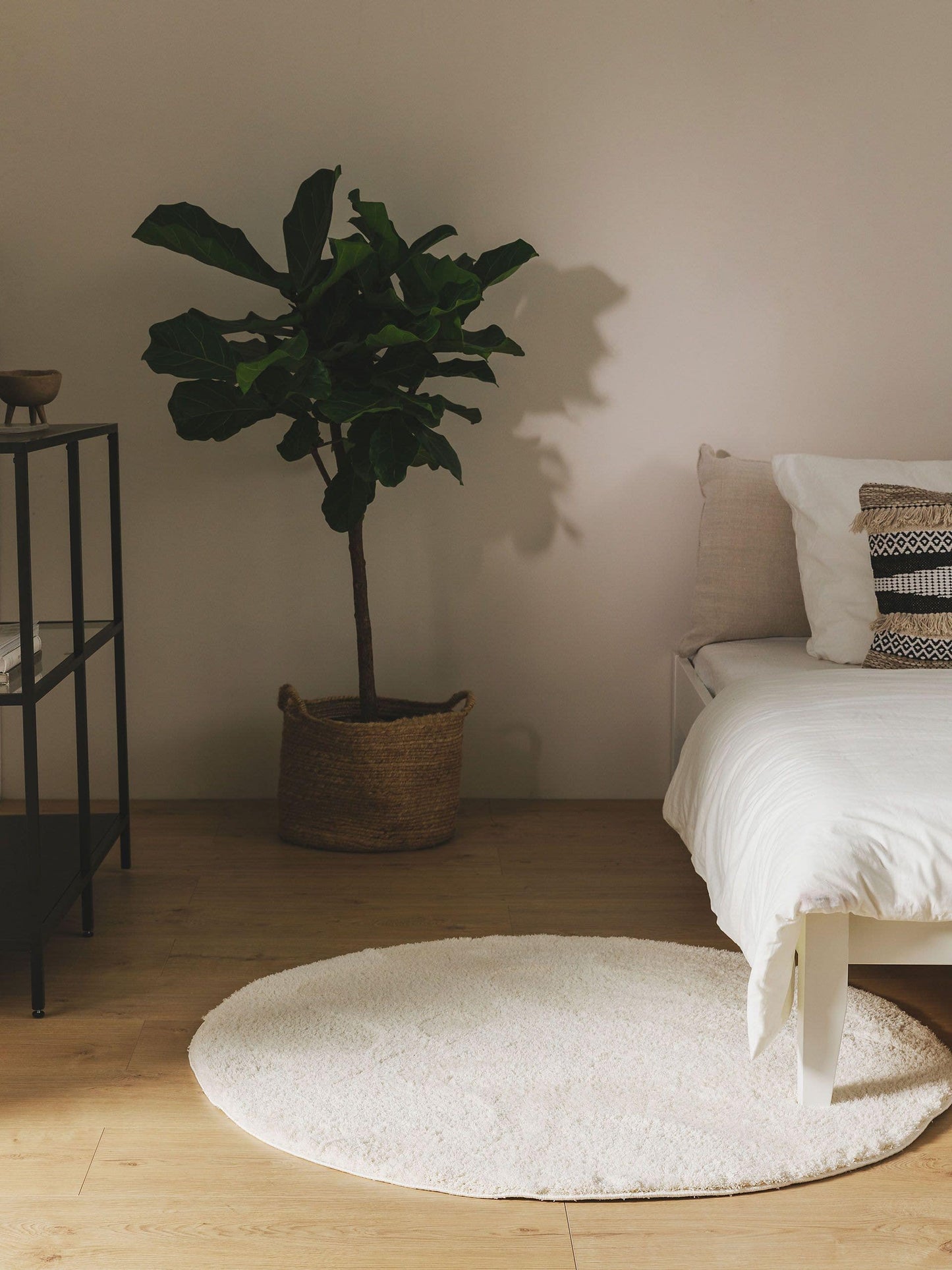 Soda Apvalus Kilimas DS3