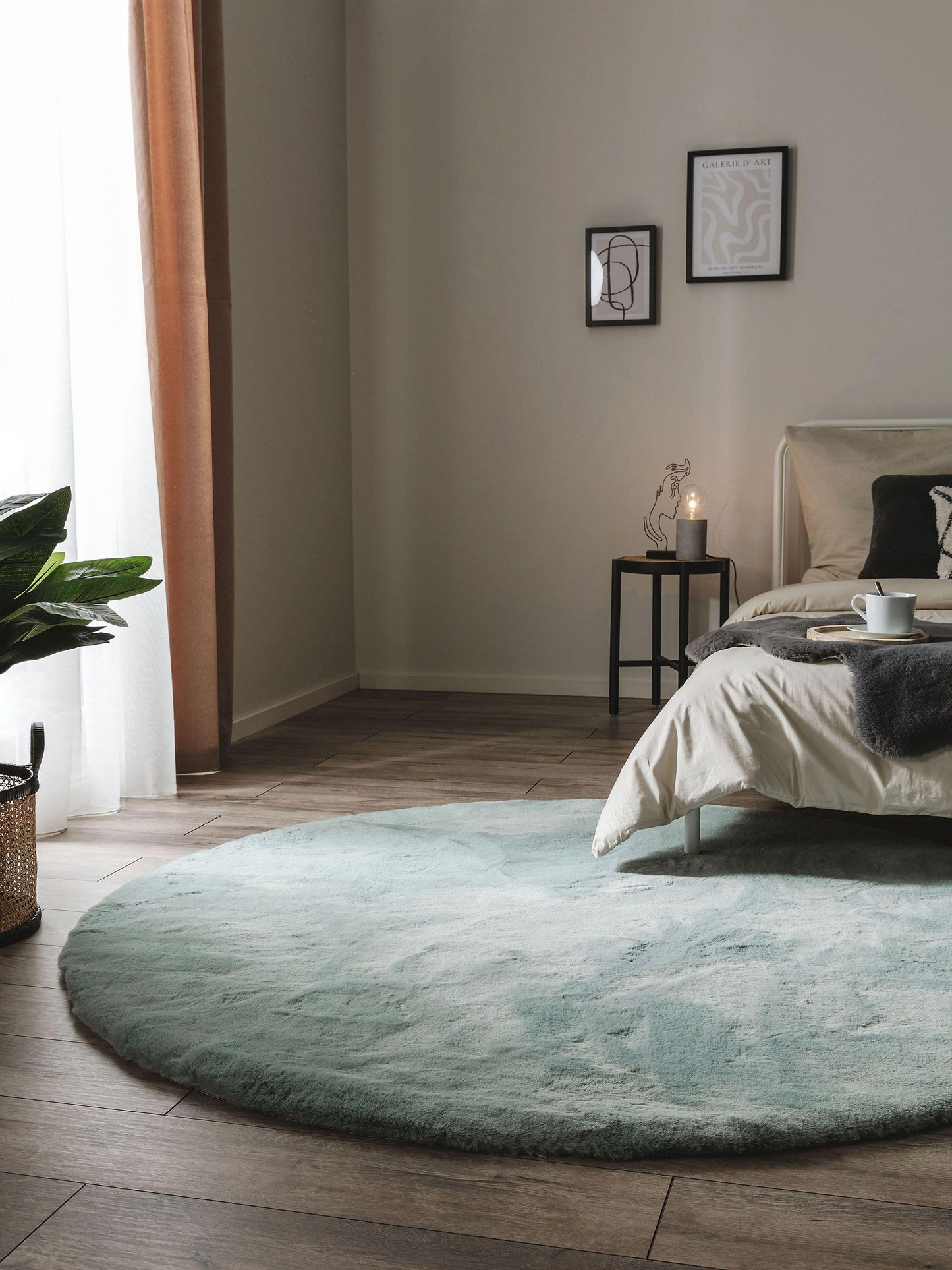 Dave Apvalus Kilimas DS6