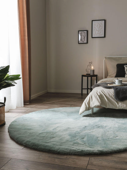 Dave Apvalus Kilimas DS6