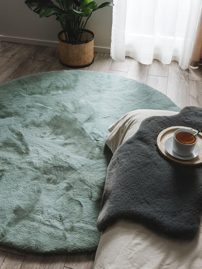 Dave Apvalus Kilimas DS6