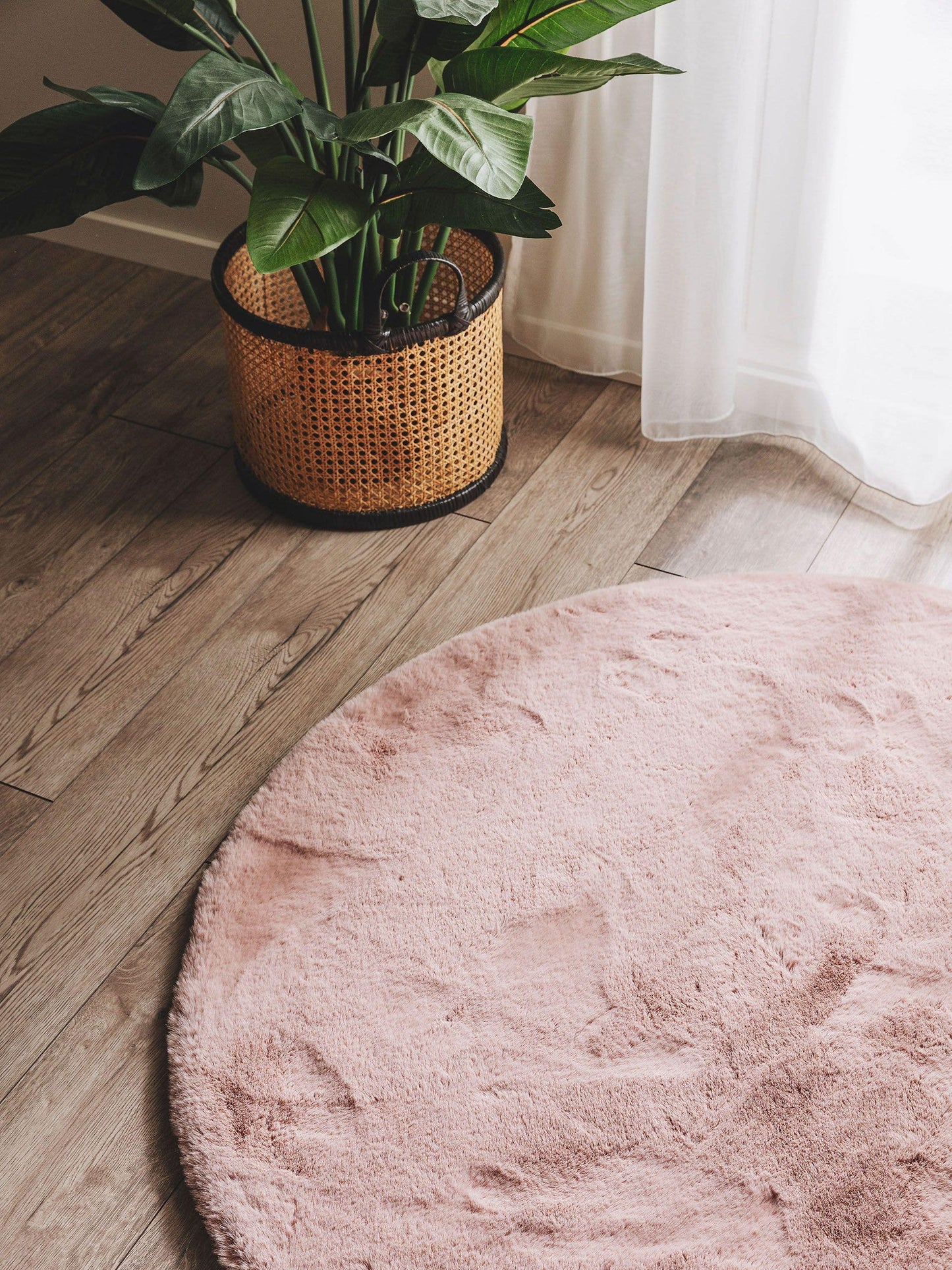 Dave Apvalus Kilimas DS3