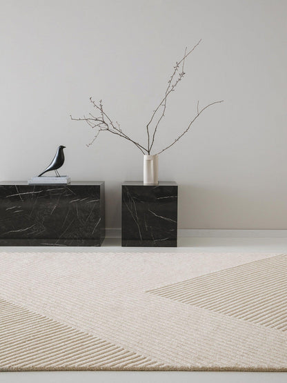 Modernus stilingas kilimas svetainei 200x300cm